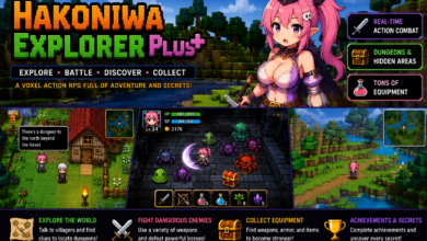 hakoniwa explorer plus